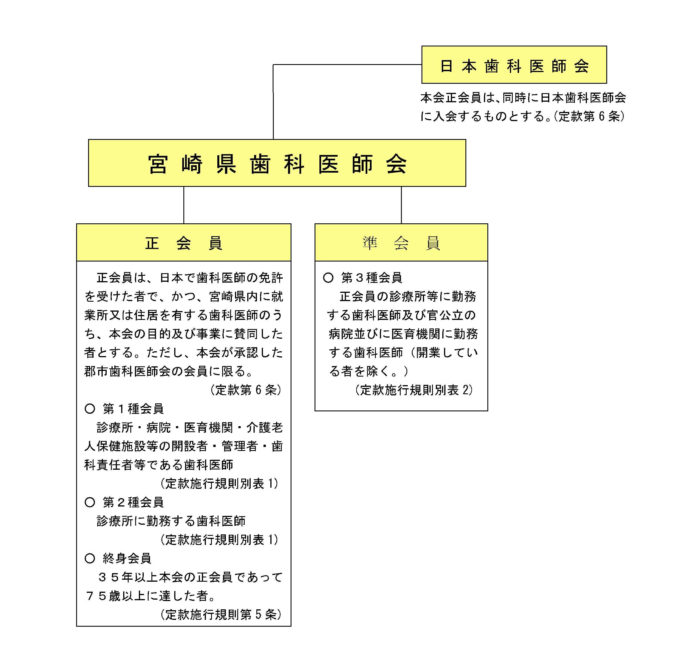 県歯組織図（H29