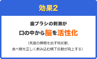 歯ブラシの刺激が口の中から脳を活性化