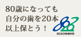 歯とお口の健康について正しい知識を身につけましょう。8020推進財団