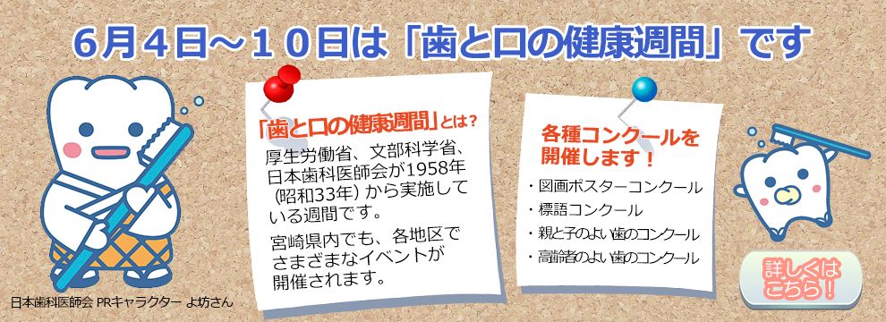 歯と口の健康週間（結果発表まで）